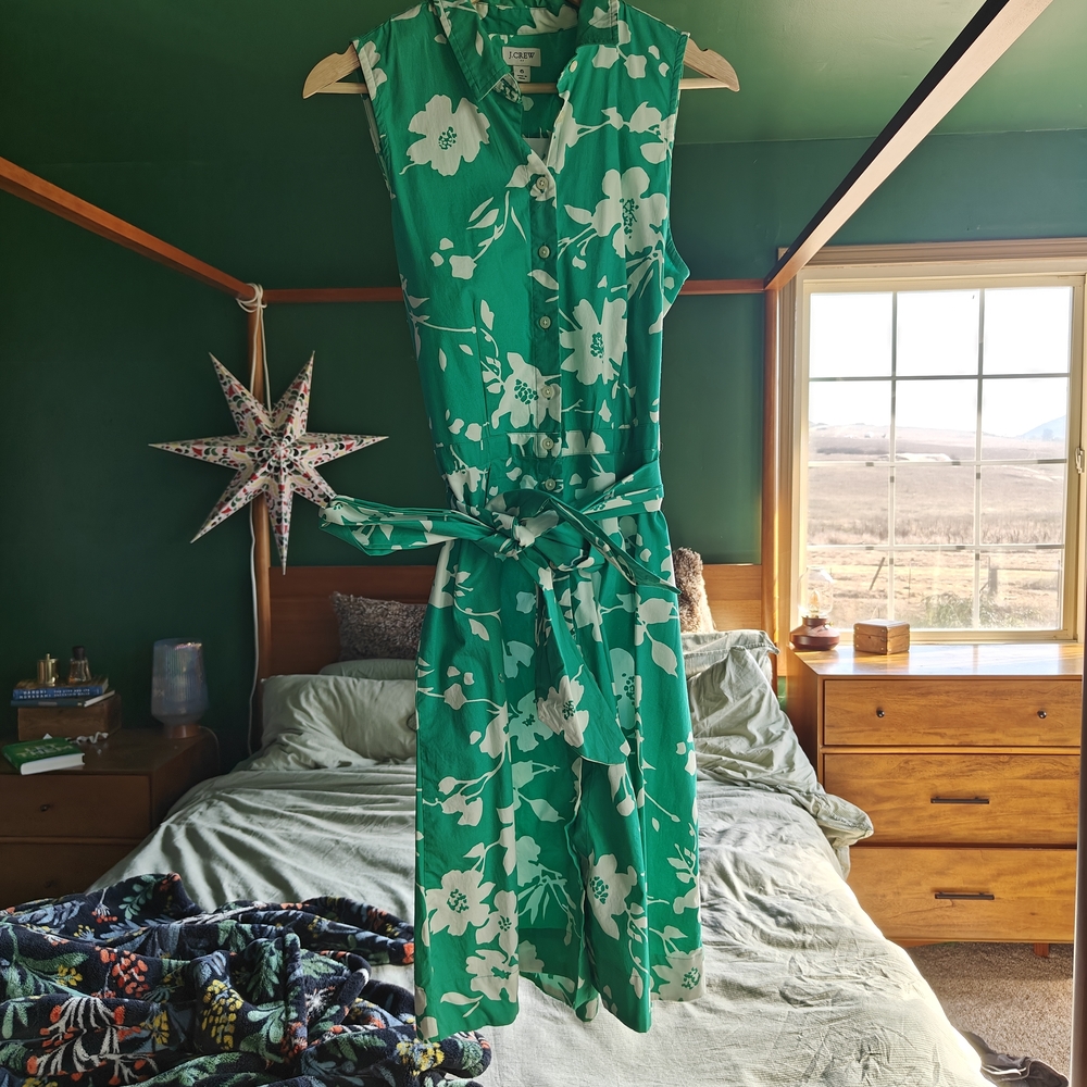 J. Crew Green and White Floral Dress